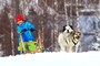 犬ぞり,冬,雪,ウィンタースポーツ,ドッグ,雪山,ハスキー,犬,そり,滑走,運転