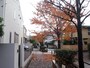 この道がかつての呑川だろうか