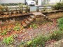 かつての呑川を想像させる