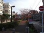 桜並木はまだまだ続く