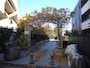 ここが杉並区側の緑道の始まり