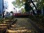改めて自分が川の跡を歩いていることを感じる