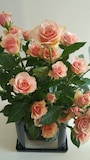 生花イルゼ