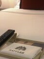 ラッフルズイメージ