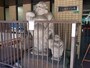 足元にはお賽銭が投げ込まれている