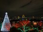 クリスマスカラーの樹木と『台場メモリアルツリー』