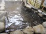 きのくにや露天