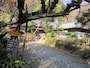 正面