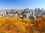 紅葉クルーズ