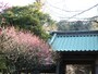 常立寺の山門