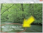 全画面表示の画像には、上からキャプションを重ねて表示できる