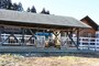 ふれあい牧場の主が羊山公園の名づけ親