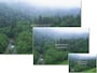 無駄に大きな画像を読み込まずに済むよう、大中小3種類の写真を用意