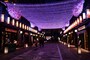 夜桜バル（3月28日・29日）も開催される花見舞台