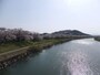 白石川堤一目千本桜（5）
