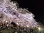 白石川堤一目千本桜（10）／大河原でのライトアップ