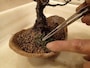 苔をはって仕上げます