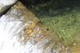 渓流アップ