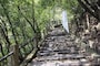 登り道