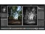 Lightroom CCの現像モジュール画面