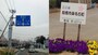 鼻毛石