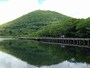覚満淵の木道