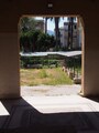 palermo4