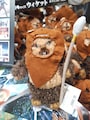 1/4ウィケット