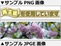 サンプルページで使っている画像