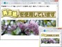 際限なく拡大・縮小される