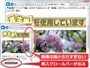 画面幅に合わせて自動調整されるが、上限サイズと下限サイズがある