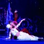 『パッショネイト宝塚!!』～柚希礼音・夢咲ねね