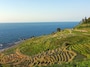 白米千枚田