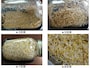 アルファルファの発芽の様子