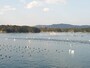 賢島エスパーニャクルーズから眺める英虞湾の風景（2）／真珠養殖のはえ縄と小型船を望む