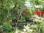 御神池＠石浦神社