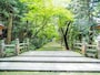 参道＠白山比め神社