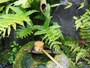 地下水