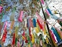 七夕の笹飾り……種類や意味・由来を知ろう！