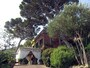 Hotel Mezzatorre