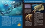 『肉食の恐竜・古生物図鑑』（子供の科学★サイエンスブックス）