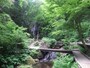払沢の滝（1）