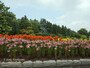 百合が原公園