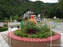 層雲峡の寄せ植え
