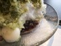 かき氷の中から、香炉庵自慢の北海道産小豆を使った粒あんが（2015年7月23日撮影）