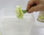 カーネーション生花