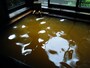 毒沢鉱泉　内湯