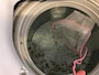 洗濯槽はカビが生えやすいため定期的なお掃除を