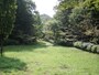 子どもの森