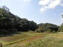 昔ながらの里山の自然が残る鎌倉中央公園